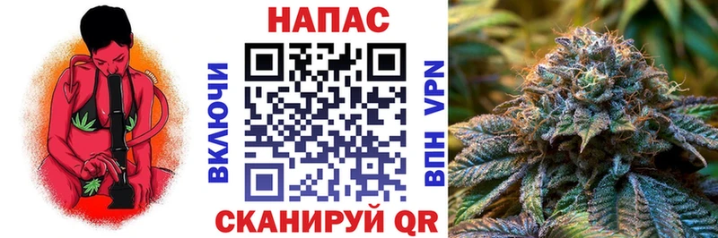 hydra   Сибай  Бошки марихуана THC 21% 